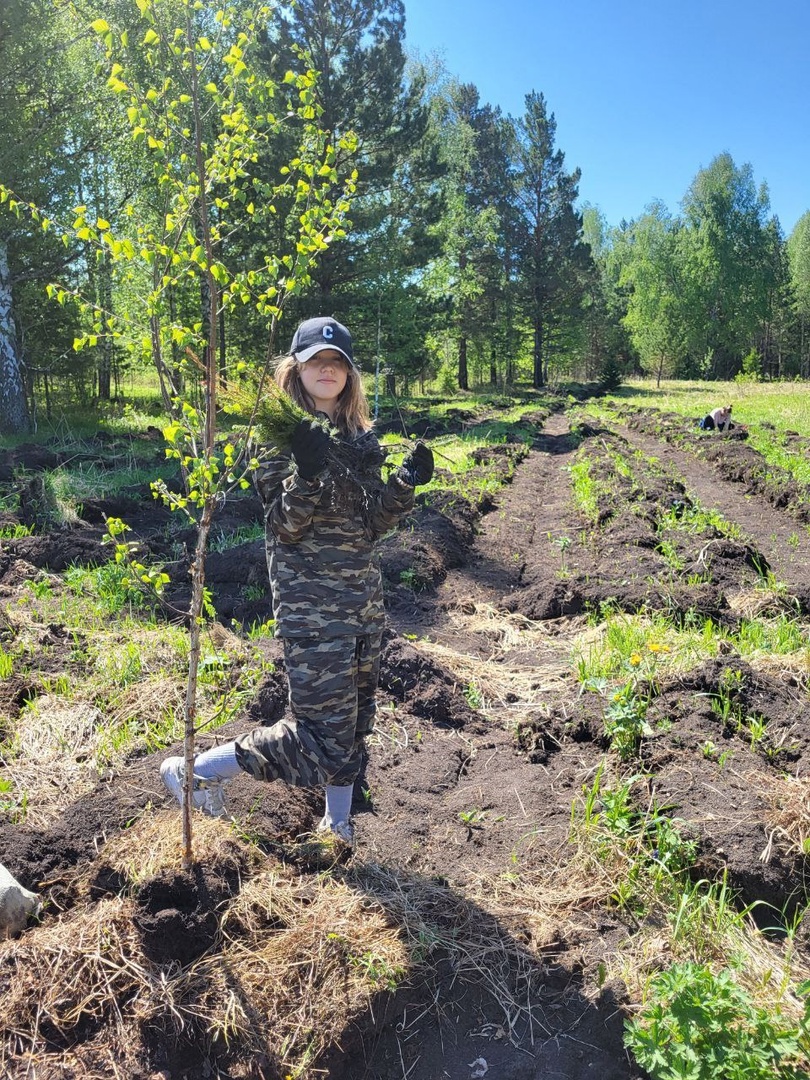 Наш вклад в восстановление экосистемы Красноярского края..