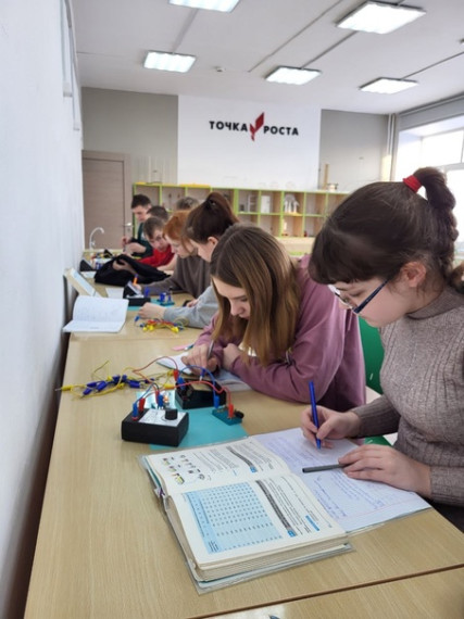 Лабораторные работы в центре естественно-научной и технологической направленностей «Точка роста» Причулымской школы..